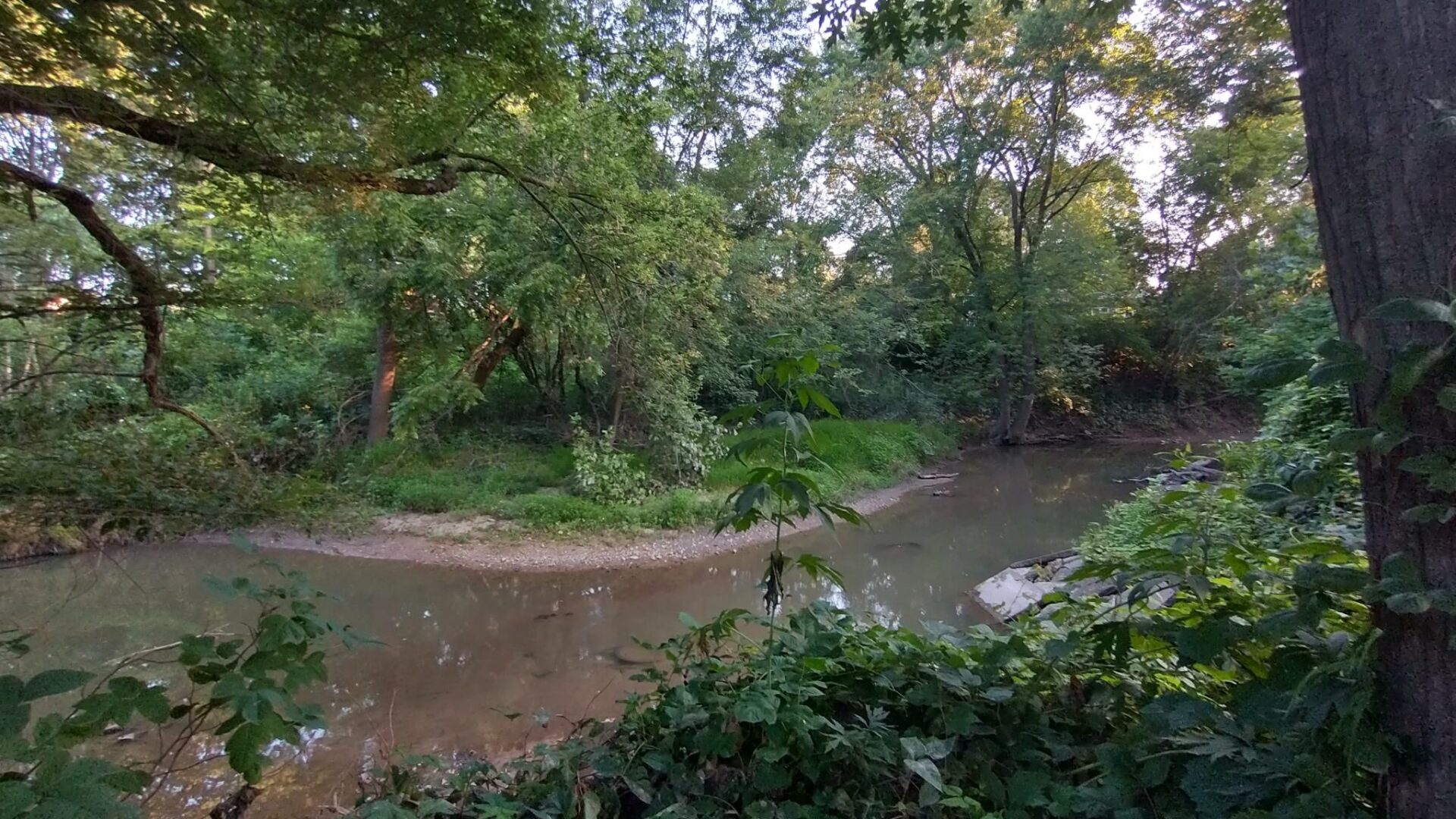 The view from our campsite, day #1 under our belts.